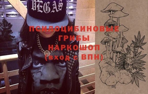 прущая мука Каменка