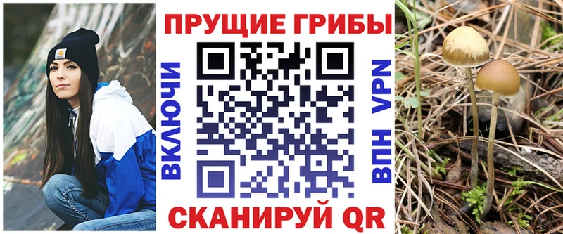 Купить закладки Туран Галлюциногенные грибы Magic Shrooms